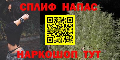 гашик Можга