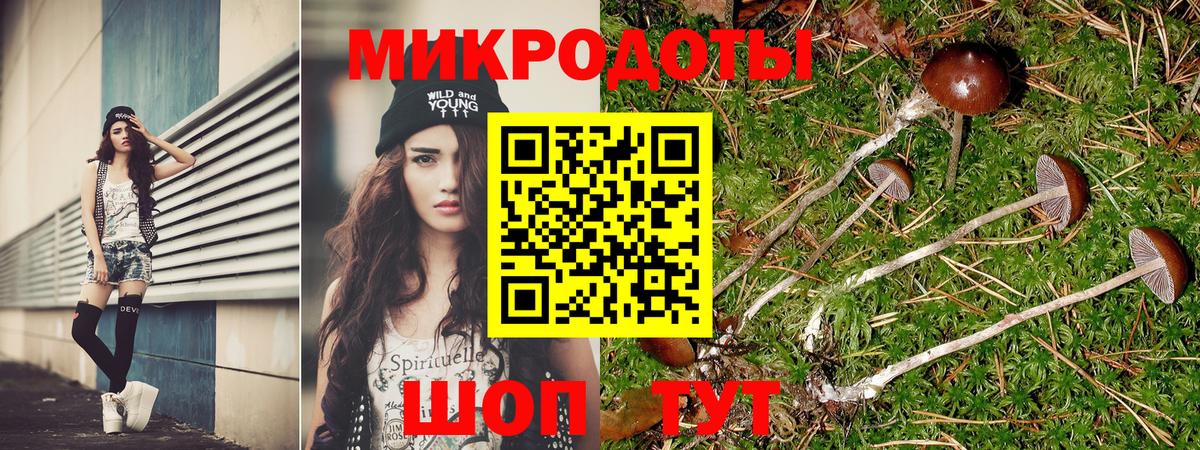Псилоцибиновые грибы MAGIC MUSHROOMS  Вход с VPN  Бузулук  Псилоцибиновые грибы мицелий 